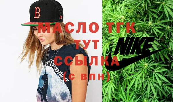 гидра Тайга