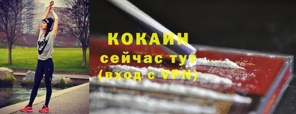 стаф Шали