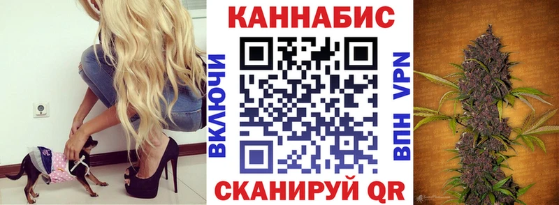 кракен tor  Жирновск  Бошки марихуана планчик 